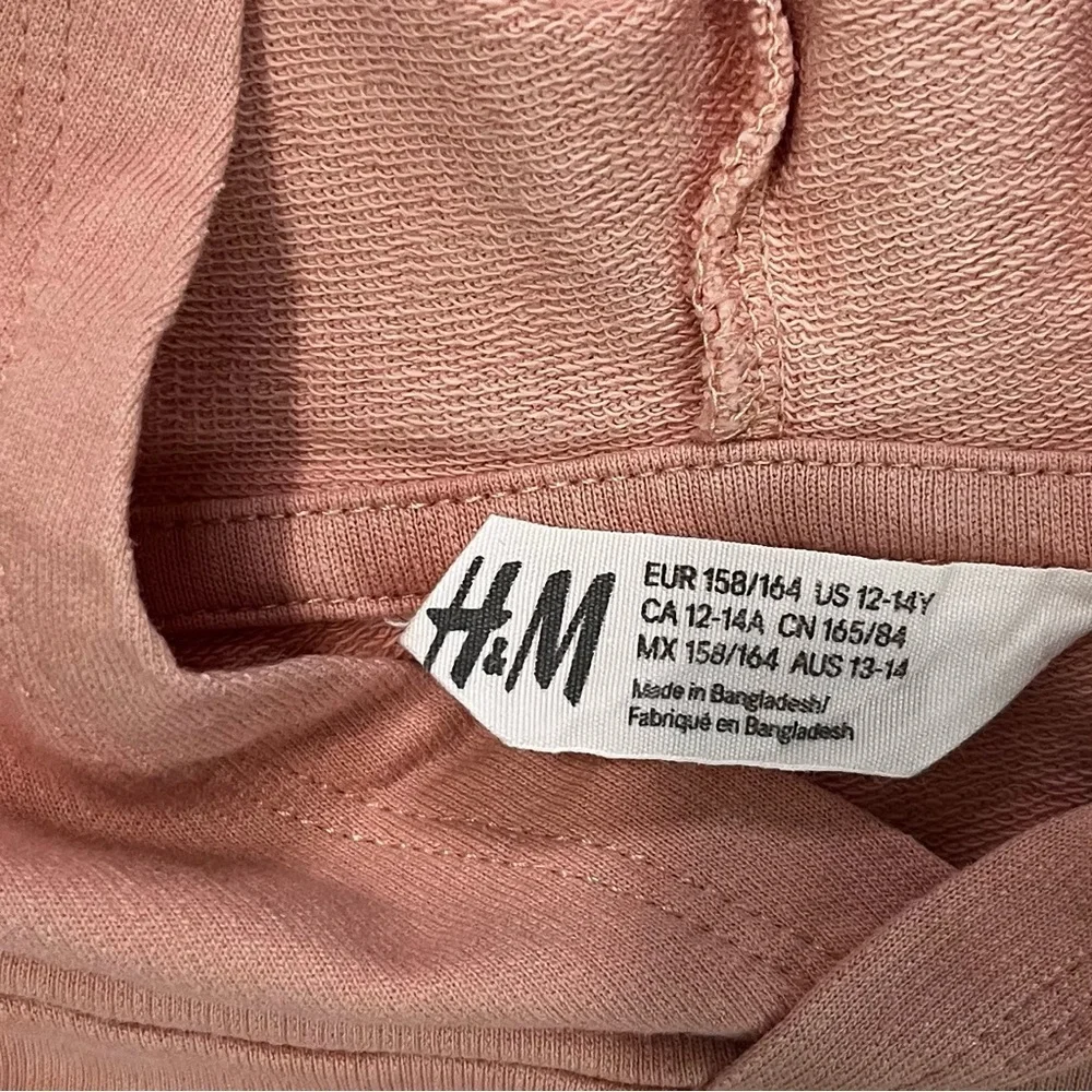 H&M Dusty Pink Hoodie with Gold Lettering